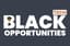 Opportunity In USA Logo